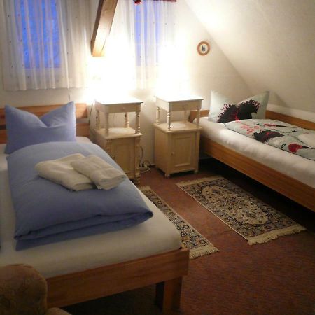 Adventure House Pension Rechenberg-Bienenmühle Buitenkant foto
