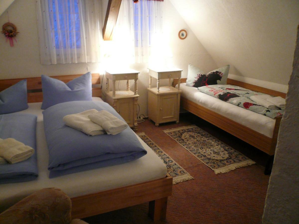 Adventure House Pension Rechenberg-Bienenmühle Buitenkant foto